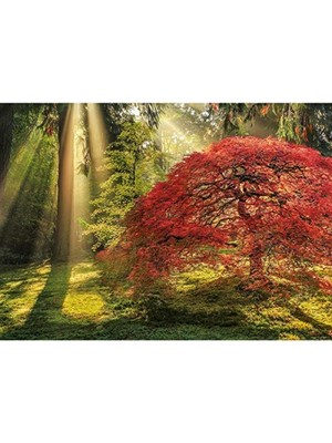 Esranın Dünyası 1000 Parça Puzzle - Yıldızlı Gece Temalı