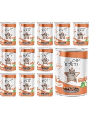Esranın Dünyası Somonlu Jöleli Yetişkin Kedi Konserve Maması 400 gr x 12 Adet