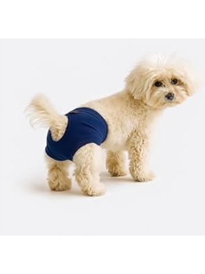 Esranın Dünyası Lacivert Kedi ve Köpek Külodu, S Beden, Rahat Kullanım