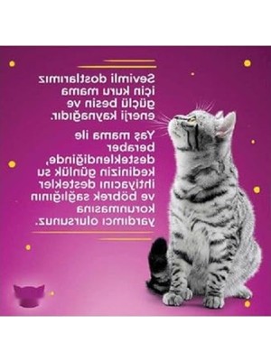 Esranın Dünyası Jöle Içinde Tavuklu ve Somonlu Yetişkin Kedi Konservesi 4X85 gr