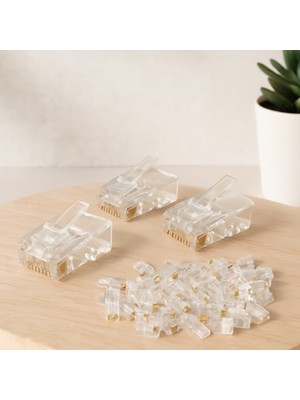 Zenviaa RJ45 Ethernet Jak 100 Adet ZENVIAA365423
