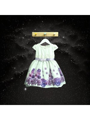 Baby Rose Kız Bebek Yazlık Abiye Elbise