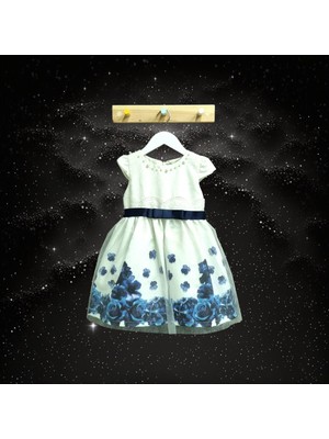 Baby Rose Kız Bebek Yazlık Abiye Elbise