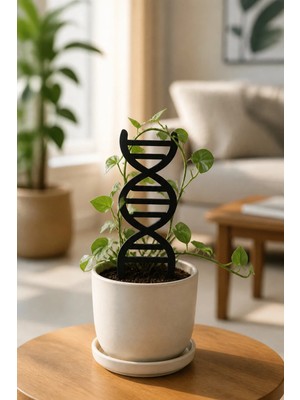 Arlia Design Arliadesign Dna Şeklinde Bitki Destek Çubuğu 5’li Set 8X15 cm Siyah 3 mm Mdf Saksı Desteği