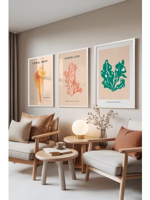 1001 Beyaz Çerçeveli 3’lü Tablo Seti Coral Reef – Deniz Kabukları ve Mercanlar Ofis Set 30048, 21