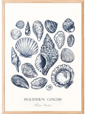 1001 Ahşap Çerçeveli Tablo, Bitki ve Tohumlar Detaylı Çizim, Mutfak Dekoru Poster No: 108075 50 x 70