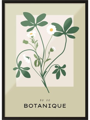 1001 Siyah Çerçeveli Tablo Botanique Papatya Bitki Illüstrasyonu Mutfak Dekoru Poster 100778, 15 x 21