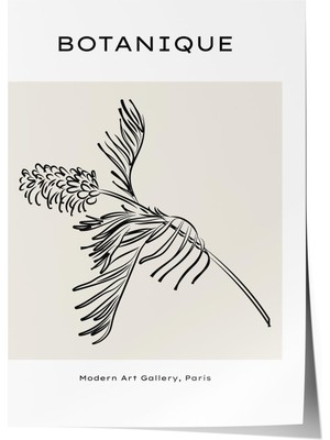 1001 Çerçevesiz Poster Ince Palmiye Dalları – Bohem Sanat Ofis Dekoru Poster 101326, 21 x 30