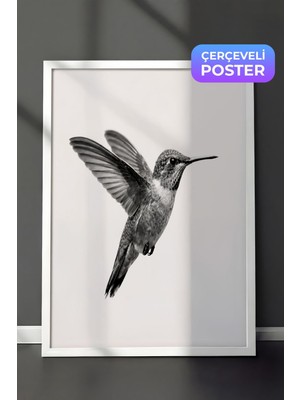 1001 Beyaz Çerçeveli Duvar Tablosu Siyah Beyaz Minimal Kuş Salon Dekoru, 21 x 30