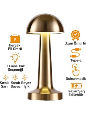 Beruflic Oval - Metal Mantar Masa Lambası Dokunmatik - Renkli Type-C Şarjlı 3 Fonksiyonlu YL86-1231 BX40