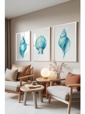 1001 Beyaz Çerçeveli 3’lü Tablo Seti Deniz Kabuğu – Turkuaz Tonlar Salon Set 30110, 10 x 15