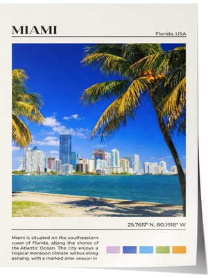 1001 Poster Miami Palmiye Sahili Şehir Manzarası Salon Dekoru, 70 x 100