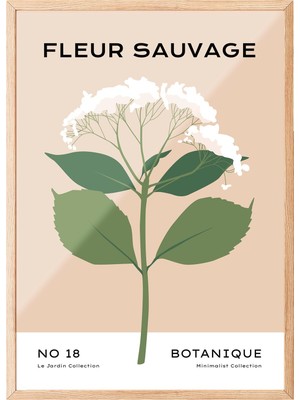 1001 Ahşap Çerçeveli Tablo Fleur Sauvage - Beyaz Çiçek Yatak Odası Dekoru Poster 100810, 50 x 70