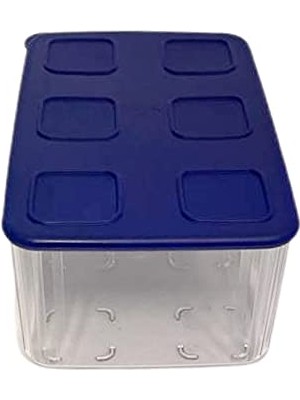 Frefly Store Şeffaf ve Taze 2,5 L Şeffaf Mavi Koyu Mavi Buzdolabı Sistemi Taze Sistem Konteyner Kapaklı Dikdörtgen