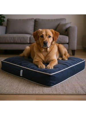 Frefly Store Lüks Dayanıklı Şönil Kumaş Visco Dolgulu Çift Taraflı ve Fermuarlı Yıkanabilir Köpek Yatağı(Fşönilmavi) (Large)