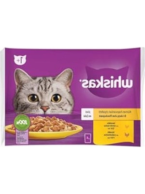 Frefly Store 4X85 gr Tavuklu ve Hindili Yaş Kedi Konservesi, Jöle Içinde