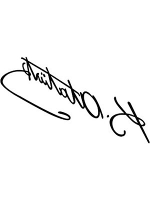 Frefly Store 15 x 4 cm Boyutlarında Atatürk Imzalı Oto Sticker, Şık Tasarım