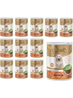 Frefly Store Somonlu ve Jöleli Konserve Mama, 400 gr x 12 Adet, Lezzetli Öğün