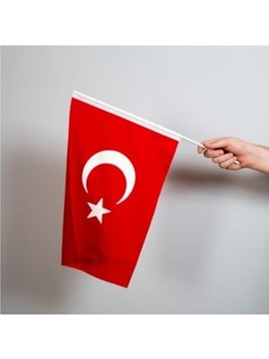 Frefly Store 30X45 cm Boyutunda Türk Bayrağı, 100 Adet Alpaka Kumaş