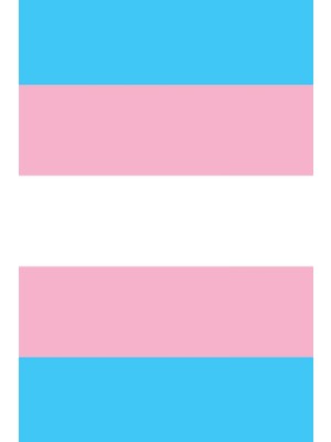 Independently Published Pride Flag Journal: Transgender Pride Flag