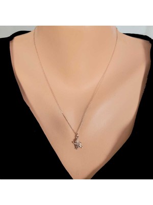 925 Ayar Gümüş Palyaço Charm Kolye, Rose