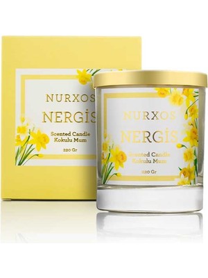Nurxos Nergis Kokulu Mum 220 Gr – Meyveli Odunsu Soya Mumu - 9653