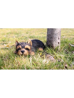 Frefly Store Yorkshire Terrier Heykeli, Siyah, Evcil Hayvan Dostları Için