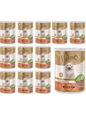 Frefly Store Somonlu Pate Yaş Mama, 400G x 12 Adet