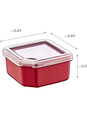 Frefly Store 1000 ml Kapasiteli Saklama Kabı, Bpa Içermeyen Güvenilir Plastik
