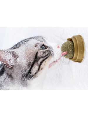 Kedi Otu Oyun Topu