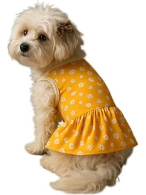 Frefly Store Sarı Çiçekli Kedi ve Köpek Elbisesi, M Boy