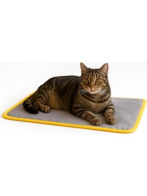 Frefly Store Iki Yönlü Kullanılabilen Kedi ve Köpek Minderi, Gri, Medium