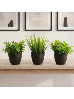 Frefly Store 3'lü Mini Yapay Sukulent Seti, 8 cm Saksı ile