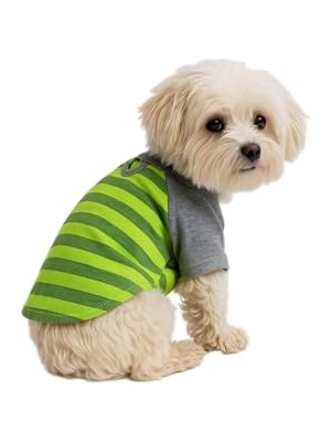 Frefly Store Kedi ve Köpek Kıyafeti & Elbisesi Yeşil Gri T Shirt Xl