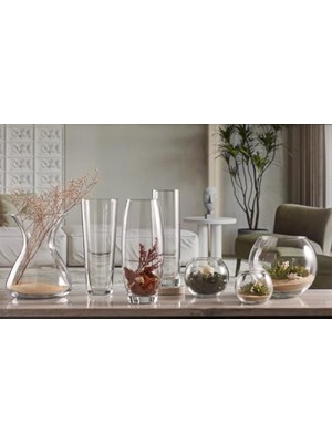 Frefly Store 160 mm Botanica Vazo - Tekli Hediyelik Kutu