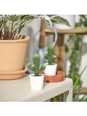 Frefly Store Yeşil Yapay Kaktüs, 6 cm Boyutunda Iç/dış Mekan Kullanımı Için