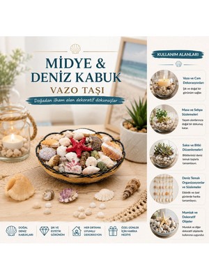 Hace Bazaar Ahşap Yuvarlak Sepet - Fileli Renkli Mix Midye - Deniz Kabuk Vazo Taşı (4887)