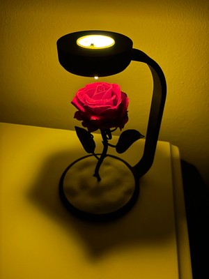 Moon Lamp MOONLAMP Gül Lambası Kırmızı Plastik Malzemeden Modern Tasarım ile Estetik Aydınlatma