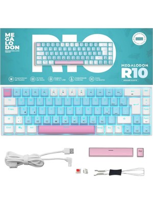R10 Mekanik Oyuncu Klavyesi Full Anti-Ghosting Hot Swap Red Switch Buz Mavisi Işıklandırma (Türk