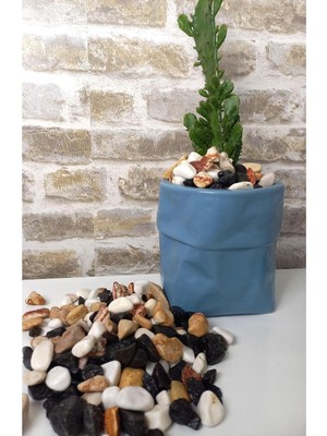 Asenya Renkli Çakıl Taşı 5 kg 1-2 cm Saksı Dibi Teraryum Saksı Süs Vazo Dibi Dekoratif Dolomi