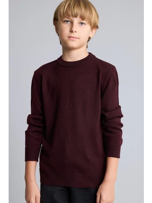 DeFacto Regular Fit Bisiklet Yaka Basic Kazak Erkek Çocuk A4992A826AU