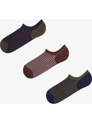 Penti Erkek Haki Below Surface Çizgili Pamuklu 3 Çift Sneaker Çorap