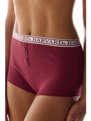 Penti Bordo Harvard Yüksek Bel Boyshort Külot