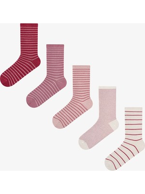 Penti Pembe Bordo Fine Lines Çizgili 5 Çift Soket Çorap