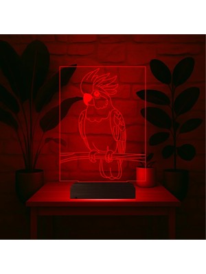 Luvivia Kakadu Papağan Pet Shop 3D Lamba - Masa Gece Lambası