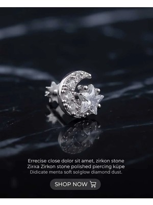 Begonia Accessories 316L Cerrahi Çelik Gümüş Kaplama Kararmaz Alerji Yapmaz Zirkon Taş Figür Unisex Tragus Helix Küpe PIERCING-178-1