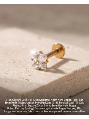 Begonia Accessories 316L Cerrahi Çelik Altın Kaplama Kararmaz Alerji Yapmaz Zirkon Taş Figür Unisex Tragus Helix Küpe PIERCING-178-3