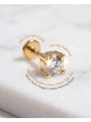 Begonia Accessories 316L Cerrahi Çelik Altın Kaplama Kararmaz Alerji Yapmaz Zirkon Taş Figür Unisex Tragus Helix Küpe PIERCING-178-10