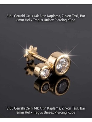 Begonia Accessories 316L Cerrahi Çelik Altın Kaplama Kararmaz Alerji Yapmaz Zirkon Taş Figür Unisex Tragus Helix Küpe PIERCING-178-24