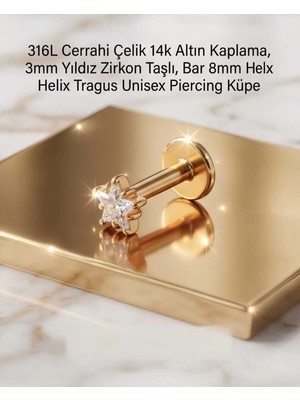 Begonia Accessories 316L Cerrahi Çelik Altın Kaplama Kararmaz Alerji Yapmaz Zirkon Taş Figür Unisex Tragus Helix Küpe PIERCING-178-22